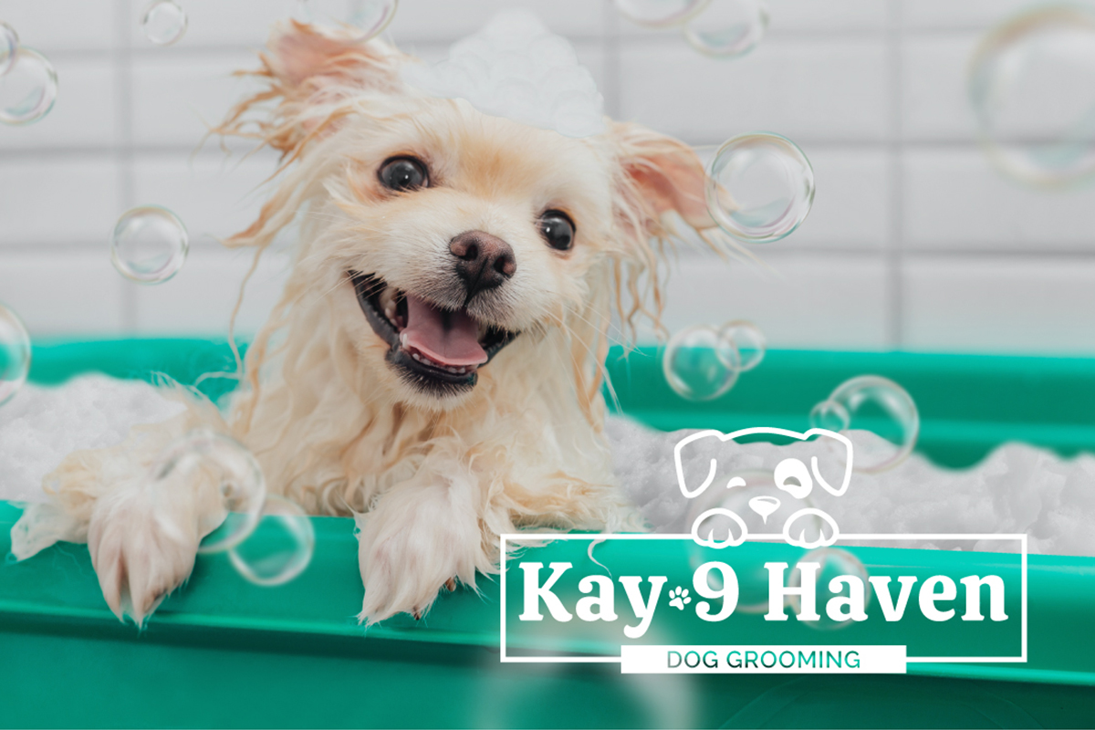 Kay 9 Dog Grooming Preview
